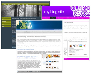 Blog examples