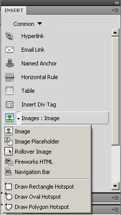 Inserting an image on Dreamweaver CS4