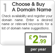Step One: Buy Your Domain Name!