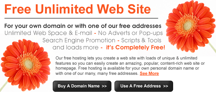 Free Web Site