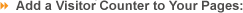 Add a Visitor Counter to Your Pages: