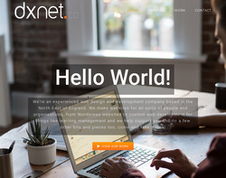 Screenshot of the DX Net Solutions homepage