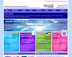 Screenshot of the dynanti web design consultants homepage