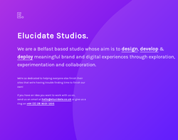 Screenshot of the Elucidate Consultancy homepage