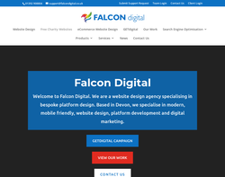 Screenshot of the Falcon Digital homepage
