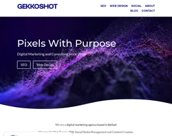 Screenshot of the Gekkoshot Digital Media homepage
