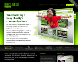 Screenshot of the Green Jersey Web Design Ltd homepage