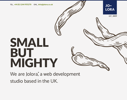 Screenshot of the Jolora Web Design and Internet Marketing homepage