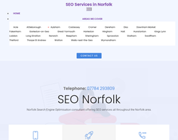 Screenshot of the Norfolk SEO Service homepage