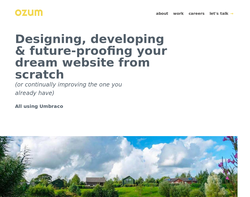 Screenshot of the Ozum Ltd homepage