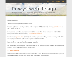 Screenshot of the Powys web design homepage