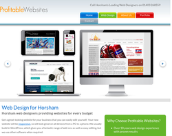 Screenshot of the Profitable Websites homepage