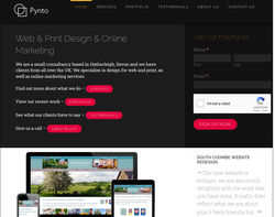 Screenshot of the Pynto Limited homepage