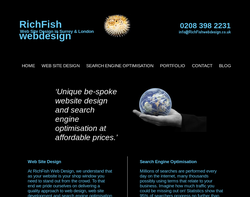Screenshot of the RichFish Web Design homepage
