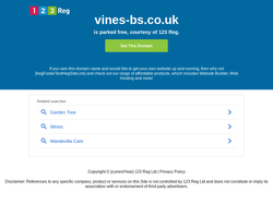 Screenshot of the Vines Business Services homepage