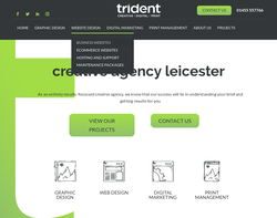 Screenshot of the Trident homepage