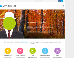 Screenshot of the White Hat Web Design homepage