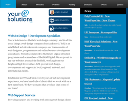 Screenshot of the Your e Solutions homepage