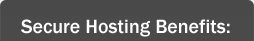Secure Hosting Benefits: