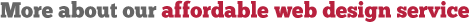 More about our affordable web design service