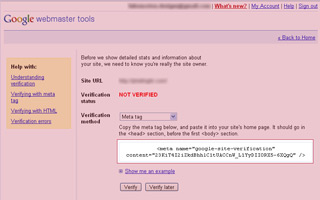 Google Webmaster Tools meta tag