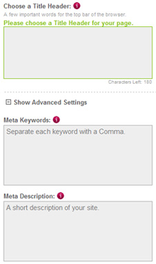 Search Engine Optimisation options