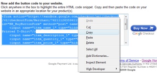 Copying Google Button Code