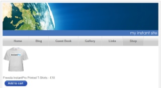 Finished InstantPro With Google Checkout Button