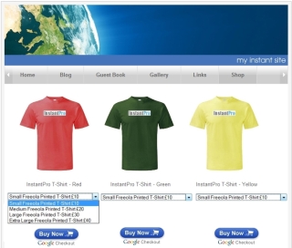 InstantPro Site Example with Google Checkout