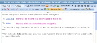Example Page