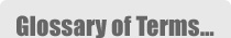Glossary of Terms