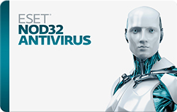 Eset NOD32 Anti-Virus Download - 3 Computer(s) 1 Year License New