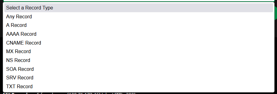 DNS Lookup Custom Records