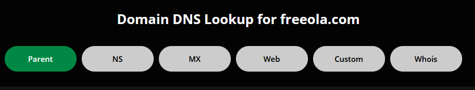 DNS Lookup Results