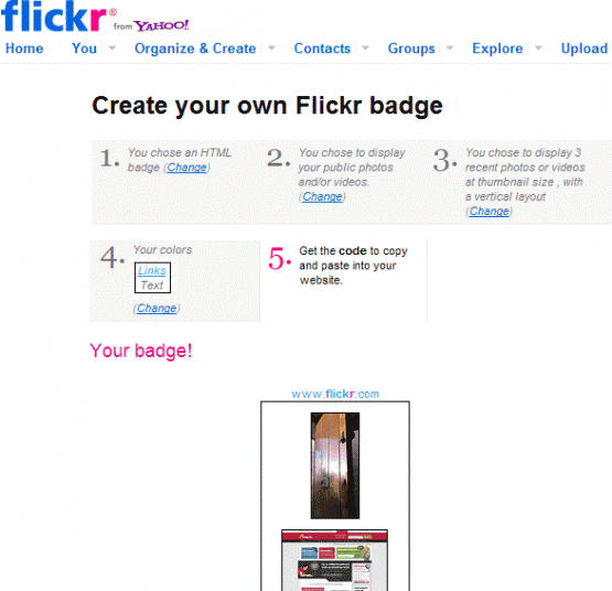 Flickr Badge
