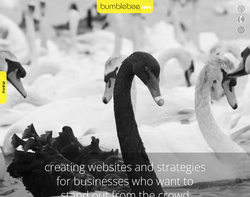 Screenshot of the Bumblebee Design homepage