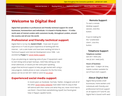 Screenshot of the Digital Red homepage