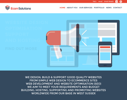 Screenshot of the Ecomsolutions homepage