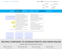Screenshot of the eStore Seller, Ecommerce Website Designers homepage