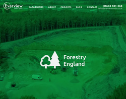 Screenshot of the Everview Media homepage