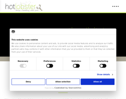 Screenshot of the Hotlobster Design Ltd homepage