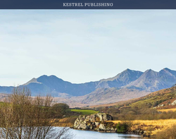 Screenshot of the Kestrel Publishing homepage