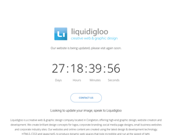 Screenshot of the Liquidigloo Limited homepage