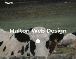 Screenshot of the Malton Web Design homepage