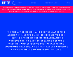 Screenshot of the Mayfly Internet Marketing homepage