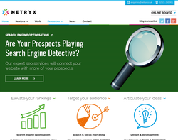 Screenshot of the Netryx homepage