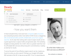 Screenshot of the Ready Steady Go SEO homepage