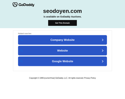 Screenshot of the SEO DOYEN homepage