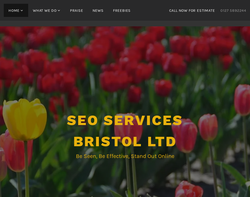 Screenshot of the SEO Services Bristol Ltd homepage