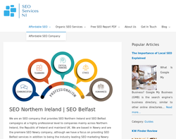 Screenshot of the SEO Services NI homepage